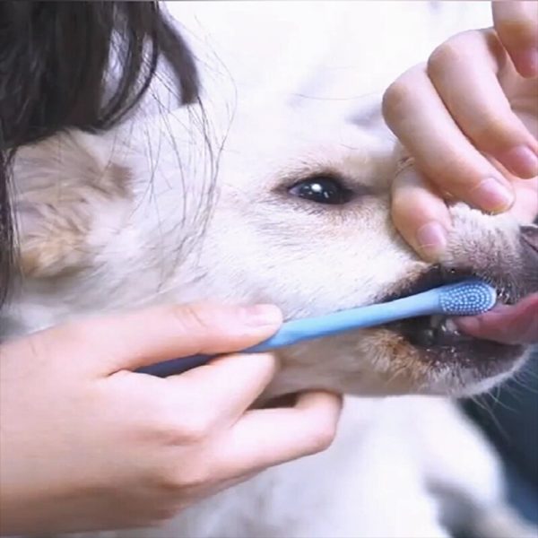 Dog Pet Finger Toothbrush Teddy Dog Brush Pet Dogs Toothbrush Super Bad Breath Tartar Teeth Tool
